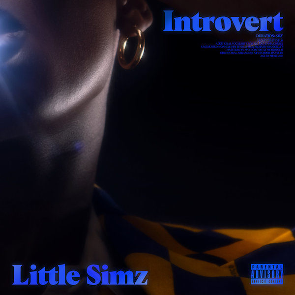 Little Simz – Introvert